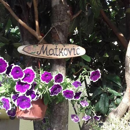 Apartments Matkovic Kotor Extérieur photo