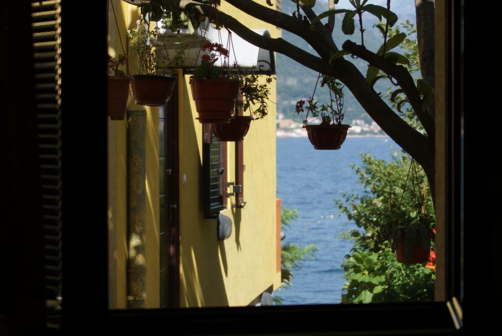 Apartments Matkovic Kotor Chambre photo