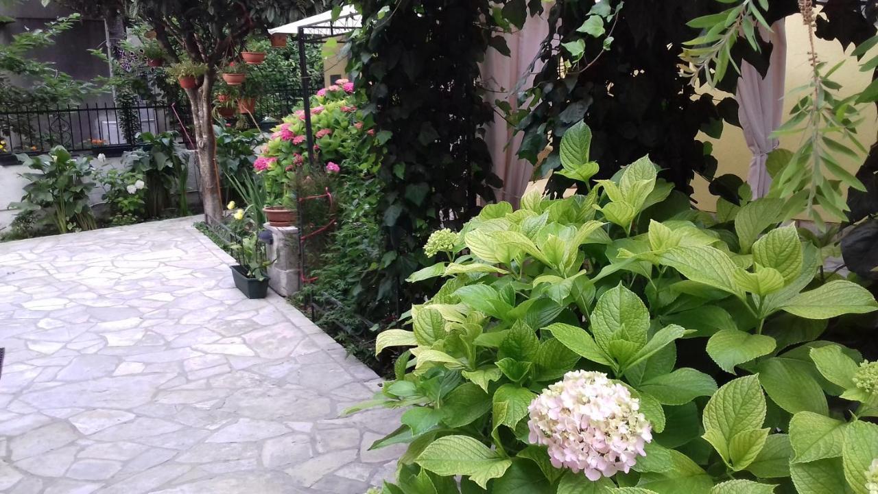 Apartments Matkovic Kotor Extérieur photo