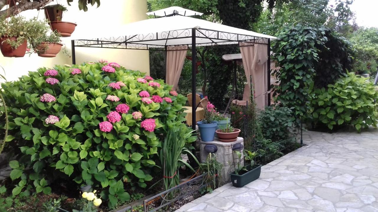 Apartments Matkovic Kotor Extérieur photo